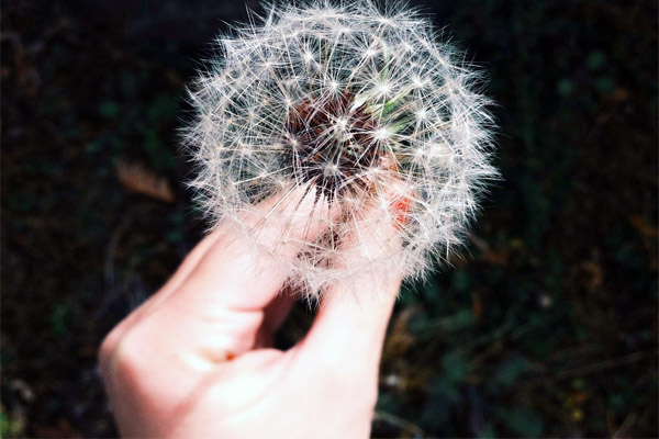 增强版强劲的ddos网页端