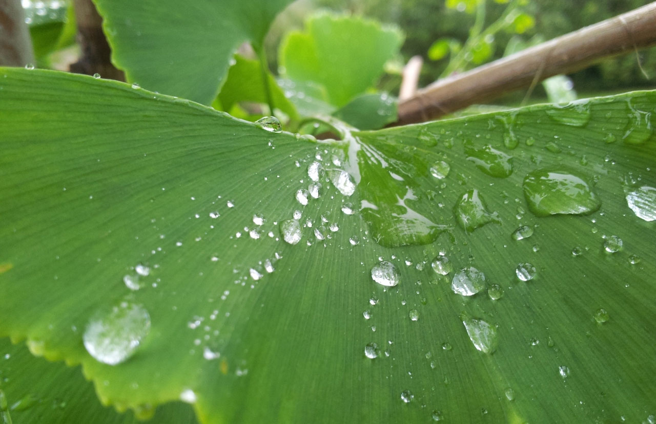 渠道价格直供的ddos攻击